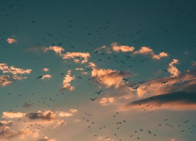 Meteorologia: Previsão do tempo para domingo, 28 de agosto