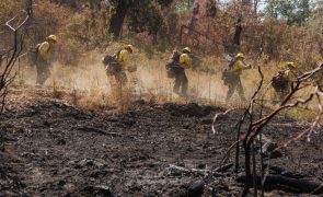 Sobe para quatro o número de mortes em grande incêndio na Califórnia