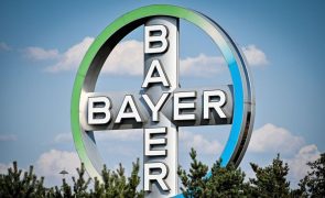 Gigante Bayer passa de prejuízo para lucro de 2.993 ME até junho