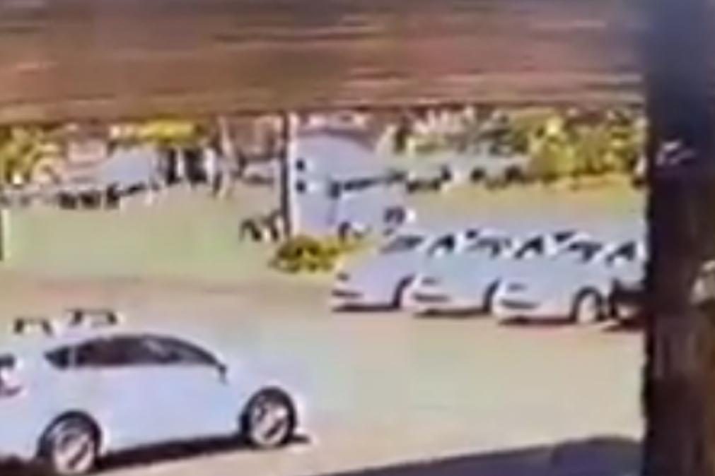 Polícia faz apelo desesperado por mulher ensanguentada avistada em camião