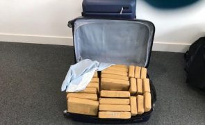 Mala com 25 kg de cocaína apreendida no aeroporto de Lisboa