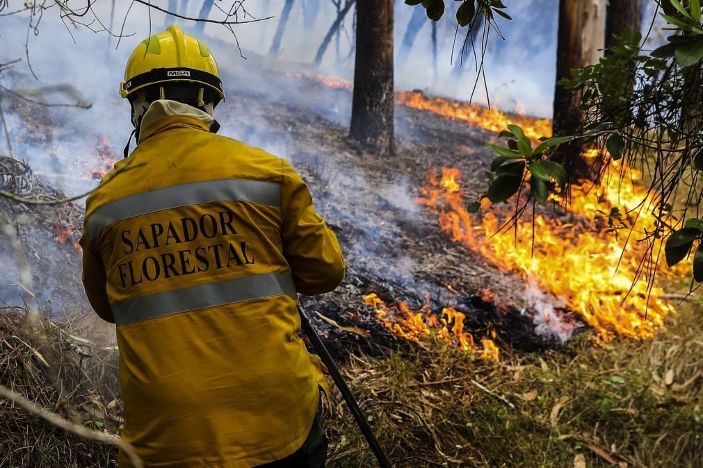 Cerca de 70 concelhos em perigo máximo de incêndio
