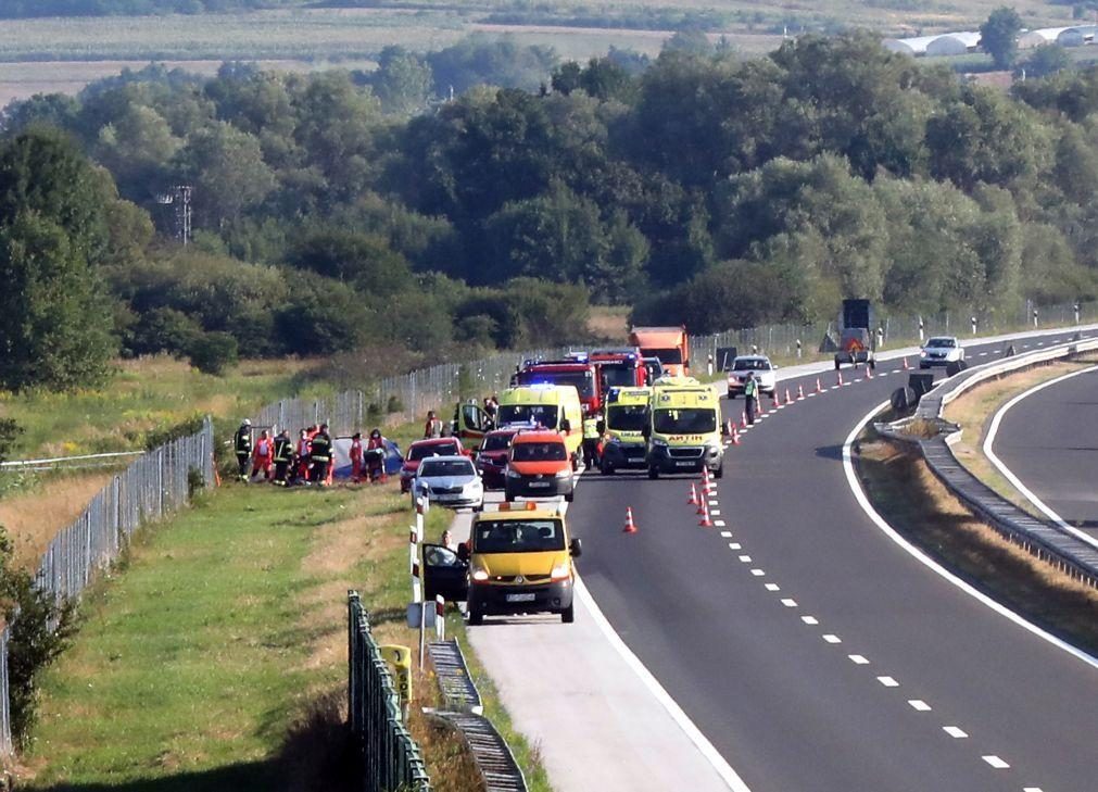 Doze peregrinos mortos e 30 feridos em acidente de autocarro