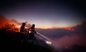 Mais de 230 operacionais combatem incêndio na Covilhã