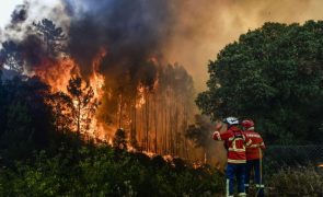 Perto de 70 concelhos de seis distritos em risco máximo de incêndio
