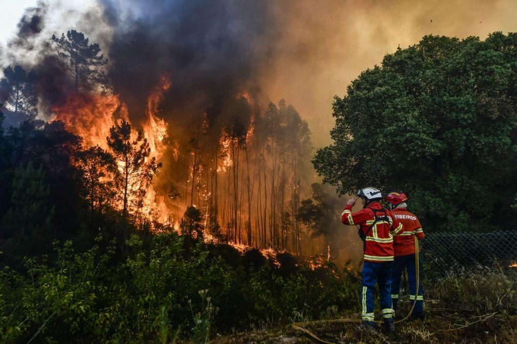 Perto de 70 concelhos de seis distritos em risco máximo de incêndio