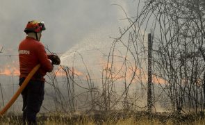 Mais de 620 bombeiros combatem incêndio na Covilhã, EN338 continua cortada