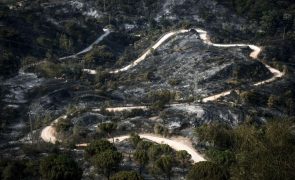 Mais de 7.500 incêndios e mais de 58.000 hectares ardidos este ano