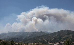 Incêndios: A7 cortada entre Cabeceiras de Basto e Fafe por causa de incêndio