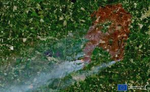 Incêndios consumiram mais de 2.000 hectares de parque natural no oeste de França