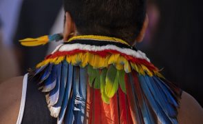 Governo brasileiro adotou políticas que ameaçam direitos dos povos indígenas