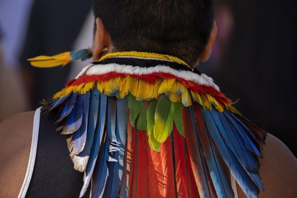 Governo brasileiro adotou políticas que ameaçam direitos dos povos indígenas
