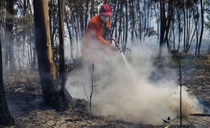Perigo máximo de incêndio em 80 concelhos do interior Norte e Centro e Norte Alentejo