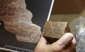 Descoberto no Côa novo fragmento de rocha gravada com mais de 16 mil anos