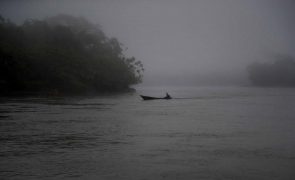 Tribunal brasileiro reabre processo sobre criação de área de conservação na Amazónia