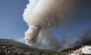 Incêndio na Covilhã combatido por mais de 1.000 bombeiros às 00:30