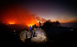Risco máximo de incêndio em 80 concelhos do interior Norte e Centro e Norte Alentejo