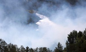 Um Canadair entre os 8 meios aéreos que apoiam combate ao incêndio na Serra da Estrela