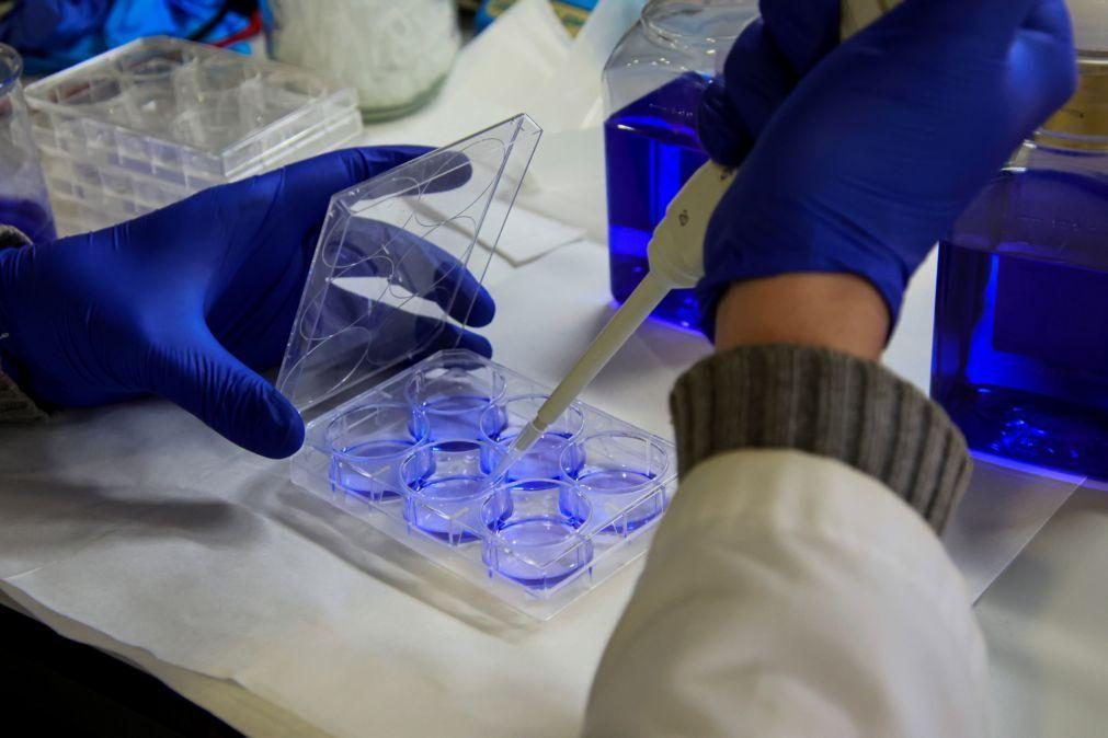 Investigadores italianos descobrem vacina contra o cancro