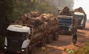 Desflorestação na Amazónia brasileira teve a maior taxa do ano em julho