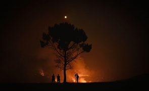 Incêndio da Serra da Estrela é o mais extenso desde Pedrógão Grande