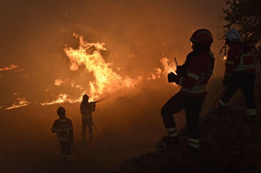 Detidos este ano 119 suspeitos de crime de incêndio