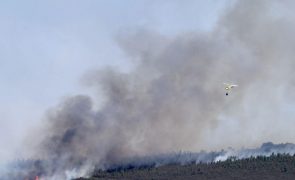 Fogo em serra de Zamora, Espanha, por extinguir após dois meses