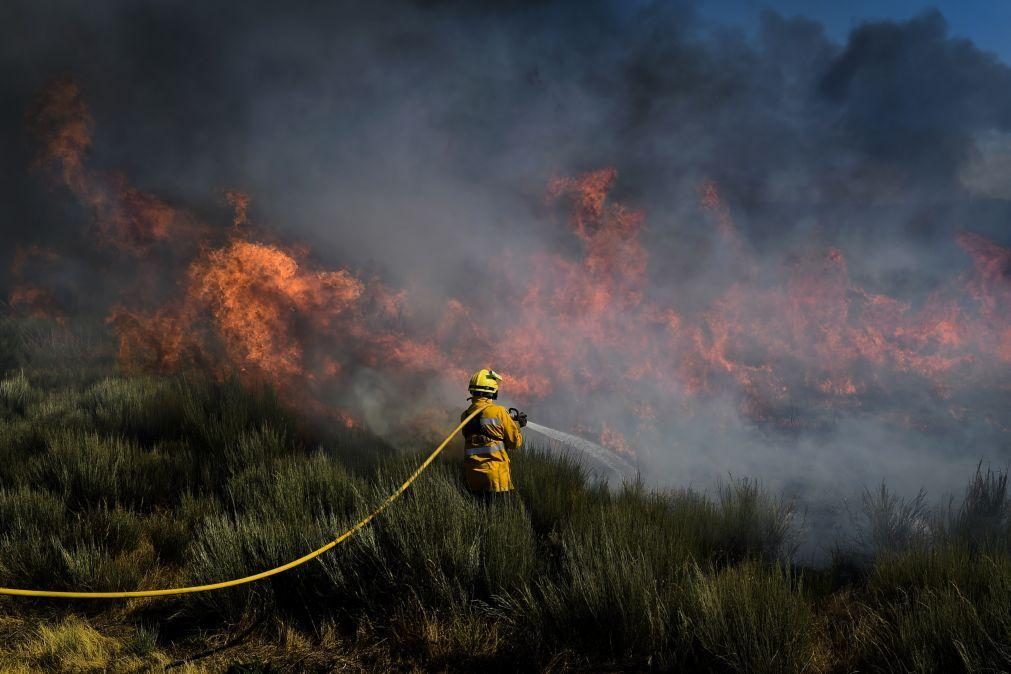 Cerca de 50 concelhos do interior Norte e Centro, Alto Alentejo e Algarve em risco máximo de incêndio