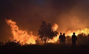 Presidente da Liga dos Bombeiros pede relatório a fogo da serra da Estrela