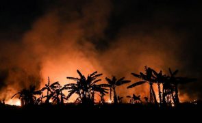 Incêndios florestais no Brasil destruíram área do tamanho da Bélgica
