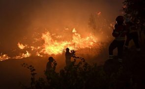 Seiscentos e cinquenta hectares ardidos nas Caldas da Rainha