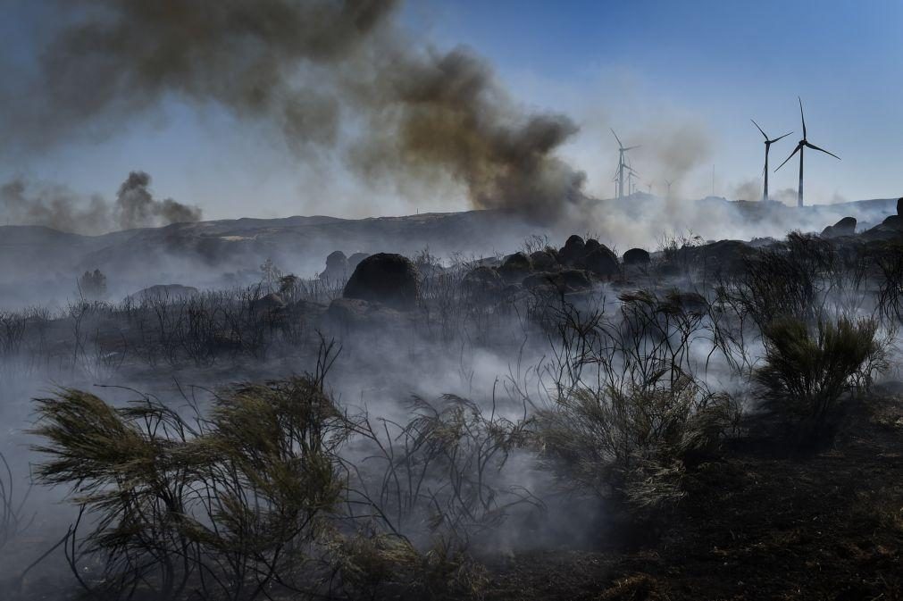 Incêndios: 25% do Parque Natural da Serra da Estrela atingido por fogos desde julho