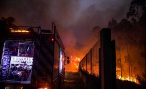 Fogo em Ourém já está em fase de resolução