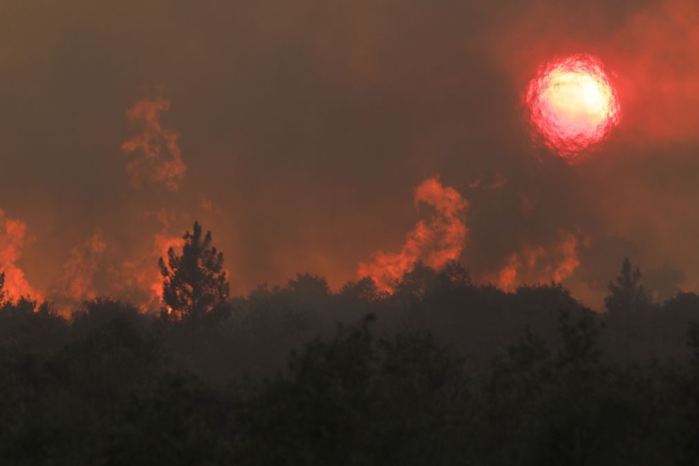 Portugal continental em estado de alerta nos próximos três dias devido a risco de incêndio