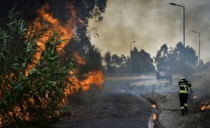 Mais de 100 bombeiros e 3 meios aéreos combatem fogo florestal na Caparica e Trafaria