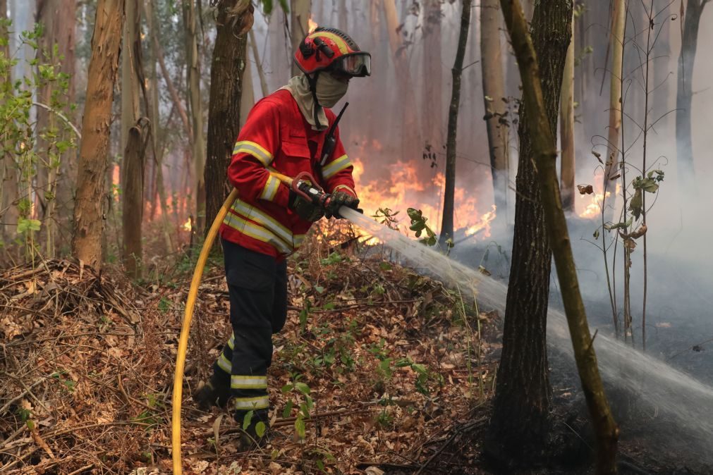 Dois incêndios no distrito de Viseu mobilizam cerca de 200 operacionais