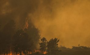 Mais de 300 bombeiros combatem fogo em Alenquer