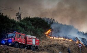Incêndio em Vila Real com três frentes ainda ativas