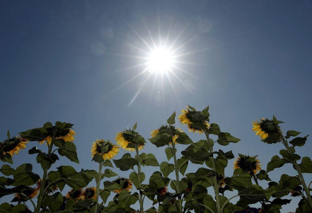 Saiba quais os distritos sob aviso amarelo devido ao calor