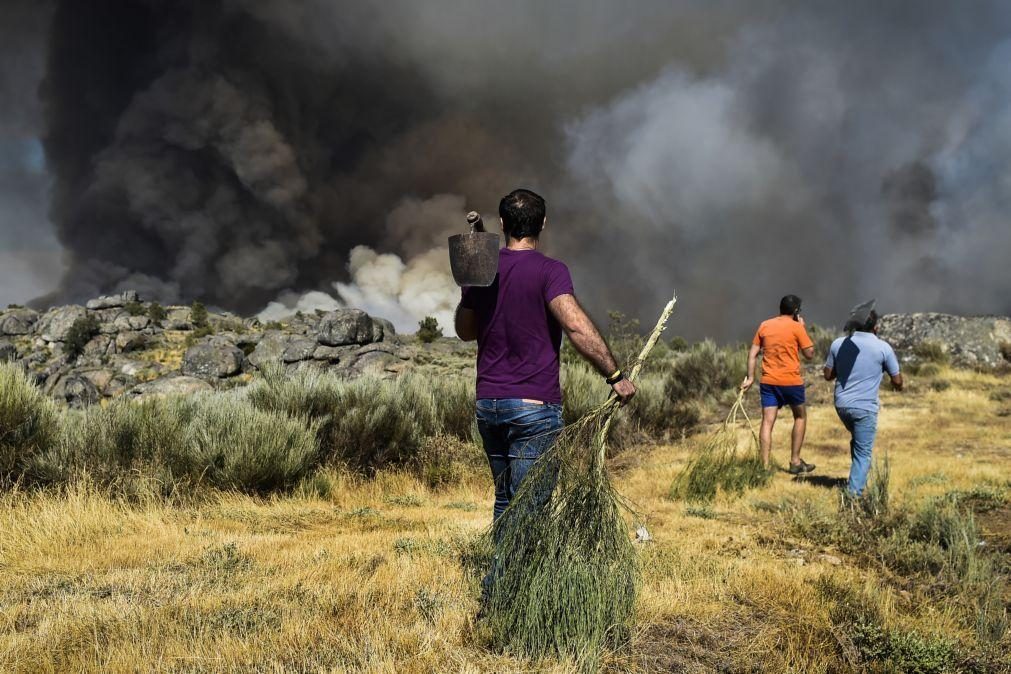 Populares e bombeiros combatem reativação de incêndio em Vila Real