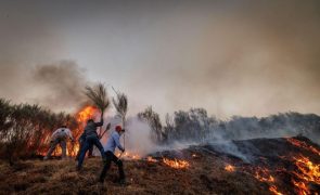 Incêndio em Vila Real entrou em fase de resolução