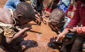 Pessoas sem água potável no Corno de África subiram de 9,5 para 16,2 milhões em cinco meses - Unicef