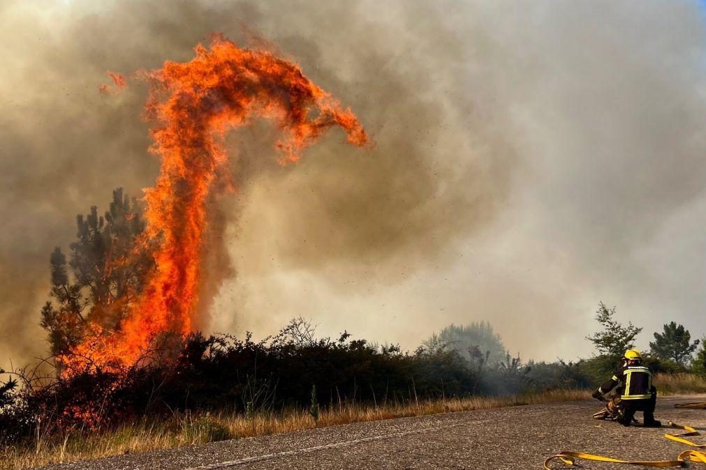 Espanha declara zonas de catástrofe em 15 regiões autónomas afetadas por incêndios