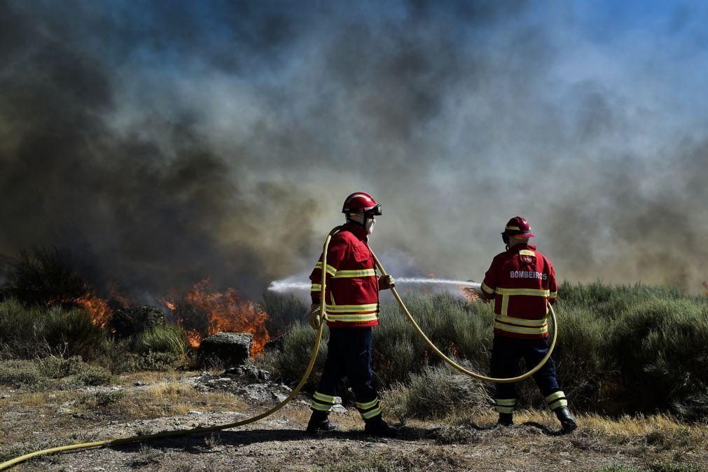 Frente ativa arde com intensidade no Parque Natural do Alvão em Vila Real