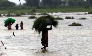 Inundações no Paquistão fazem mais de 800 mortos e milhões de vítimas