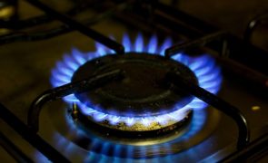 Preço da eletricidade e gás sem alterações significativas na Madeira