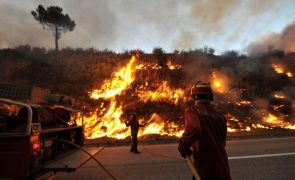 Mais de 240 operacionais combatem fogos em Mondim de Basto e Cabeceiras de Basto