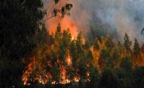 Cerca de 250 operacionais combatem dois incêndios em Santa Marta de Penaguião e Montalegre