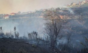 Mais de 1.500 equipas de combate a incêndios rurais na Madeira já percorreram 95.468 km
