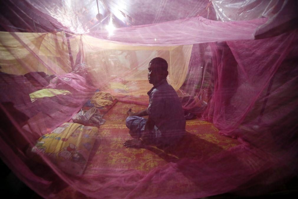 Guiné-Bissau regista aumento de casos de malária
